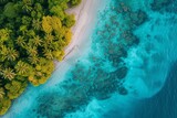 Fototapeta  - Beach with beautiful coastline. Aerial view of tropical paradise with turquoise waters, green palm trees, white sand beach and coral reefs