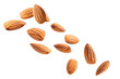 Scattered almonds, cut out - stock png.