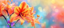 A Close-up View Of A Vibrant Orange Orchid Flower In Focus Against A Blurred Background. The Detailed Petals Of The Flower Stand Out, Creating A Beautiful Contrast With The Soft, Unfocused Backdrop.