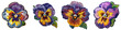 Pansy flower embroidered patch badge Hyperrealistic Highly Detailed Isolated On Transparent Background Png File