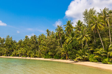 Sticker - Tropical beach at summer day