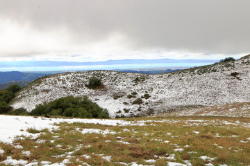 Wall Mural - Snow in the hills of the San Francisco Bay Area after a cold winter storm