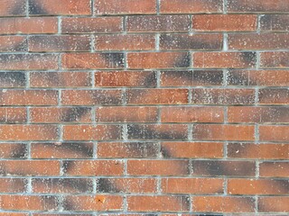 Brick wall background 