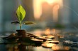 Young plant sprouting from stacked coins in a warm, glowing light, symbolizing investment and growth