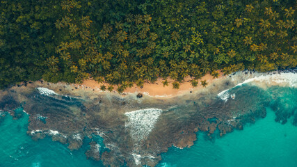 Wall Mural - Caribbean beach in the paradise