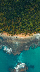 Wall Mural - Caribbean beach in the paradise