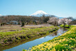 Spring of Oshino Hakkai countryside village and Fuji Mountain in Yamanashi, Japan