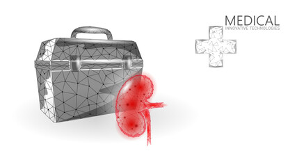 Wall Mural - 3D human kidneys transplantation case. Red low poly kidneys anatomy organ. Polygonal donor medicine patient help donation vector illustration