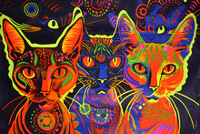 1970s Psychedelic Blacklight Poster Of Cats