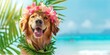 Stylish dog with hawaiian costume on tropical sea and beach blurred background. Summer festive time, Happy holiday