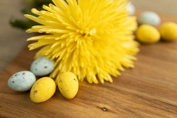 Canvas Print - Yellow flowers and pastel yellow and light blue colored eggs on a background of brown wood. Layout. Mockups. Springs background. Easter background