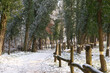 Ein Waldweg, bedeckt mit Schnee und begrenzt durch einen Holzzaun