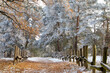 Ein Waldweg, bedeckt mit Schnee und begrenzt durch einen Holzzaun