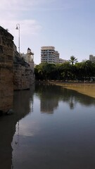 Wall Mural - Walk across the bridge in Valencia Pont del Real. A bridge over Turia Park in the riverbed. A favorite place for outdoor activities.