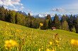 Allgäu - Panorama - Frühling - Blumen - Berge - Stadel - Wandern