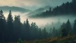 morning mist in mountain forest