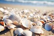 Seashells shells laying on sand sea beach tropical sanded seashore sandy seacoast blue waves backdrop beauty calm tranquil ocean seaside environment summer day vacation exotic aqua island background