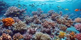 Fototapeta Do akwarium - Underwater world with breathtaking colorful fish, corals and other beautiful underwater creatures, the moon shimmers through the water