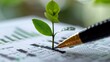 Strategic financial planning for sustainable growth