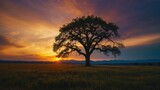 Fototapeta Sawanna - Focus on the majestic silhouette of a lone tree against the backdrop of a colorful sunset
