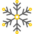 snowflake line color icon
