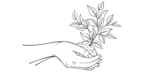 Wall Mural - Hand holding plant line art Vector illustration	