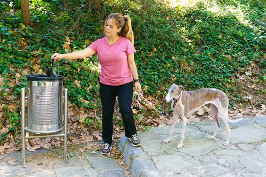 Young Spanish woman with a greyhound dog throwing a bag of her dog's feces into a garbage can. Concept of civility and good behavior.