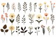 Set of tiny wild flowers boho and botanical plants line art illustrations set