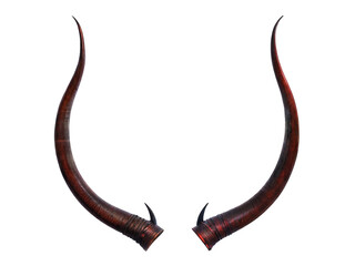 A pair of horns that realistically resemble those of the devil