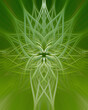 Green mirrored geometric kaleidoscope mandala background fractal twirl art piece made from a nature photo of a spider web covered in dew drops