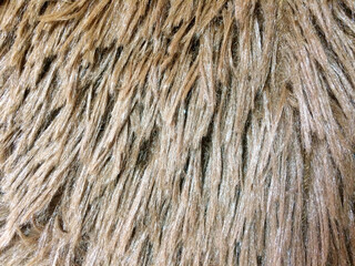 Brown Artificial Fur Surface 
