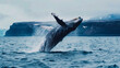 Whale watching in Iceland, majestic creatures breaching near the coast.