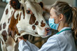 A masked veterinarian at the farm during an inspection of cows and livestock. World Veterinarian Day