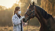 Veterinary Horses on the farm conducting a review. World Veterinarian Day