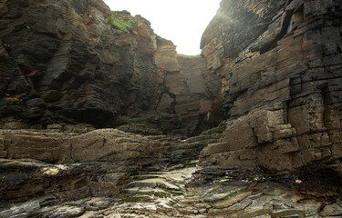 Wall Mural - Playa de Las Catedrales	