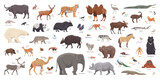 Fototapeta Pokój dzieciecy - Flat set of asian animals. Isolated animals on white background. Vector illustration