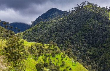 Canvas Print - Cocora