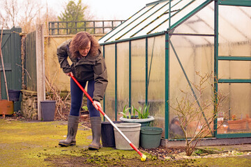 Removal of March moss madness, in motion.