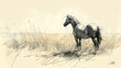 Pferd - Zeichnung