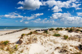 Fototapeta Sypialnia - Beach sand dunes in New Smyrna beach in sunny day, Florida.