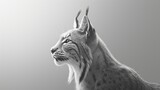 Close-up of lynx head. Wild animal in monochrome style. Illustration for cover, card, postcard, interior design, poster, brochure or presentation.