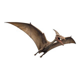 Pteranodon, Pterodactylus dinosaur on transparent background Generative AI
