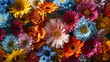 A panoramic view featuring 4K HDR fresh flowers arranged in an artistic pattern on a solid color surface, their vibrant colors contrasting