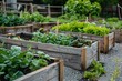 © Lubos Chlubny - Community kitchen garden. Raised garden beds with plants in vegetable community garden.