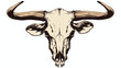 Animal skull with horns cow bull head isolated illus
