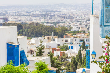 Wall Mural - Houses of the blue-white-blue city of Sidi Bou Said, Carthage, Tunisia