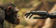 The robot's hand wants to touch a monkey. The process of evolution from monkey to artificial intelligence. Banner