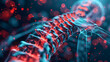 Human Spine XRay 3D render, red and blue colors