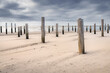 Village of wooden poles at the beach near Petten, the Netherlands