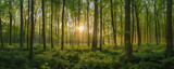 Fototapeta Na ścianę - Majestic Sunrise Peeking Through the Vibrant Green Foliage of a Quiet Forest
